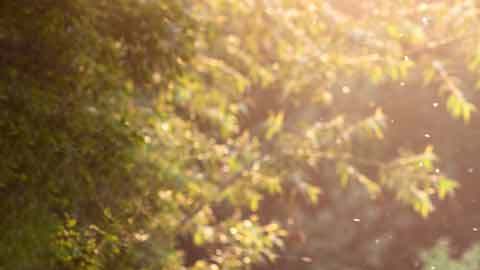 CR-Health-InlineHero-Best-Insect-Repellents-0523