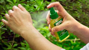 CR-Health-InlineHero-Do-Natural-Repellents-Work-05-19jpg