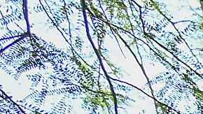 César Montes, durante el entrenamiento de la selección nacional de México en las instalaciones de Kellogg Sport Park Vegas.