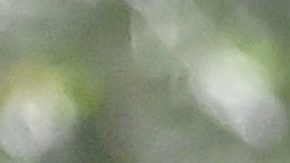 Clara Chía Martin, novia de Gerard Piqué, junto al jugador del F.C. Barcelona.