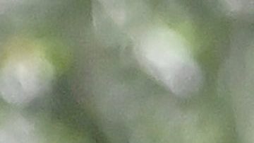 Clara Chía Martin, novia de Gerard Piqué, junto al jugador del F.C. Barcelona.