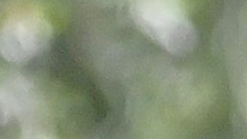 Clara Chía Martí, pareja desde hace más de un año del ex de Shakira, Gerard Piqué.