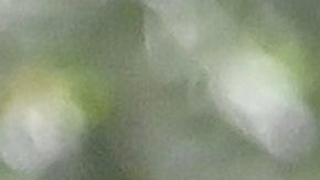 Clara Chía Martín y Gerard Piqué por Barcelona.