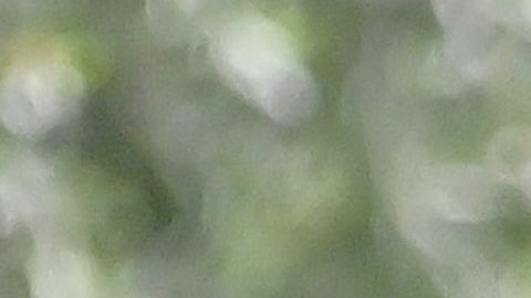 Clara Chía Martín y Gerard Piqué por Barcelona.