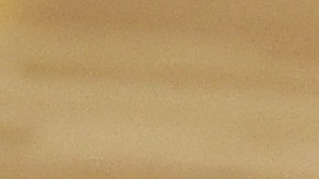 Conor MacGregor antes de noquear a la mascota del Miami Heat.