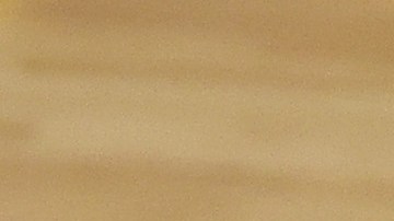 Conor MacGregor antes de noquear a la mascota del Miami Heat.