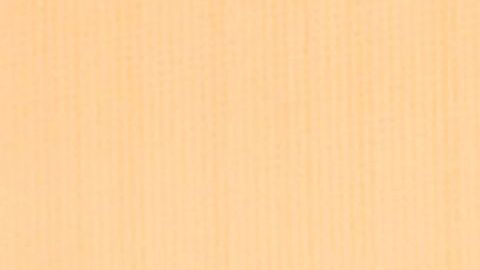 Peso Pluma en el Festival de Coachella 2023.