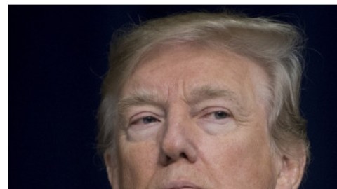 Donald Trump_Joe Biden