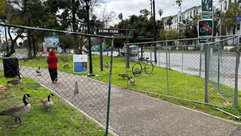 Hace unos meses se hizo la renovación del parque en Echo Park.