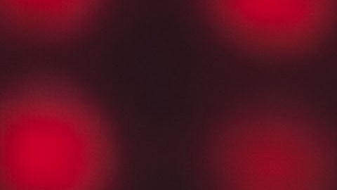 Elton John felicitó al Manchester City.