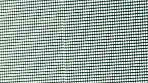 Erika Buenfil debutó como actriz de televisión siendo una adolescente