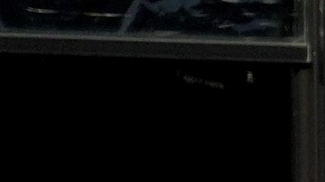 Fanáticos de los Atléticos de Oakland protestan ante el cambio de ciudad de su franquicia anunciado para la próxima temporada.