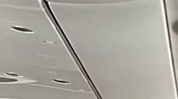 Niña estadounidense de 12 años muere tras presentar problemas de salud durante vuelo de Estambul a Nueva York