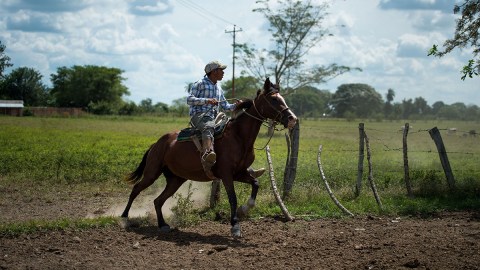 Carrera de caballos