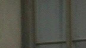 Mujer es detenida en Austria tras encerrar a hijo de 12 años en jaula para perros y echarle agua fría