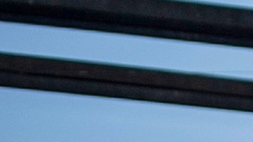 Tribunal impide la liberación rápida de migrantes que crucen irregularmente frontera EE.UU.