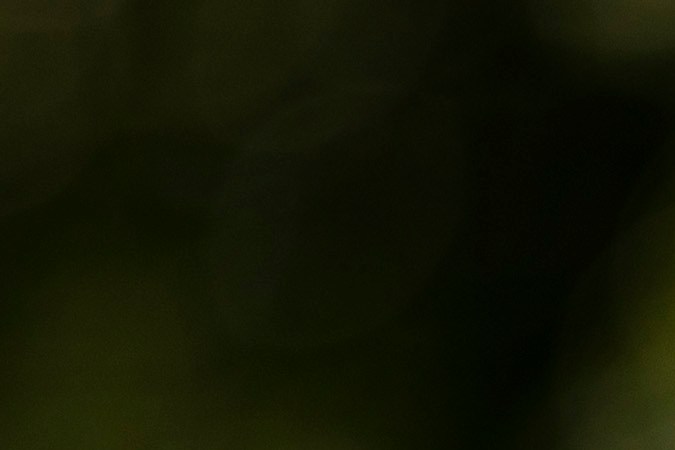 Los demócratas de la Cámara dijeron que el caso contra Biden se burla de la seriedad de un juicio político.