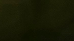 Los demócratas de la Cámara dijeron que el caso contra Biden se burla de la seriedad de un juicio político.