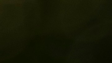 Los demócratas de la Cámara dijeron que el caso contra Biden se burla de la seriedad de un juicio político.