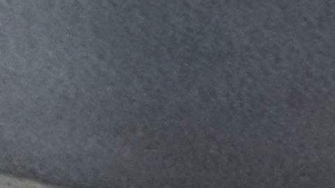 Perro de la CBP halla cargamento de fentanilo en Arizona que podría matar a 48 millones de personas
