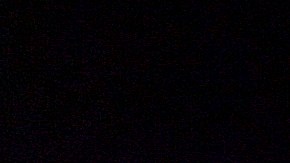 Dwayne Johnson 'The Rock' durante una pelea de UFC.