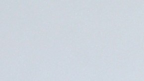 Socialite Michelle Salas poses during the photocall prior to the Dior Women's Fall-Winter 2020-2021 Ready-to-Wear collection fashion show in Paris, on February 25, 2020. (Photo by Anne-Christine POUJOULAT / AFP) (Photo by ANNE-CHRISTINE POUJOULAT/AFP via Getty Images)