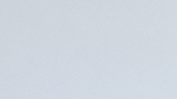 Socialite Michelle Salas poses during the photocall prior to the Dior Women's Fall-Winter 2020-2021 Ready-to-Wear collection fashion show in Paris, on February 25, 2020. (Photo by Anne-Christine POUJOULAT / AFP) (Photo by ANNE-CHRISTINE POUJOULAT/AFP via Getty Images)