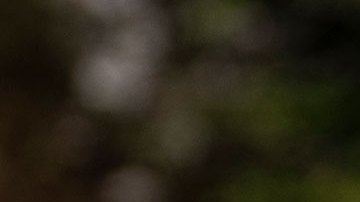 Donald Trump viaja a Florida para afronta 37 cargos federales por el manejo de documentos clasificados