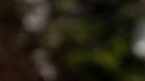 Donald Trump viaja a Florida para afronta 37 cargos federales por el manejo de documentos clasificados