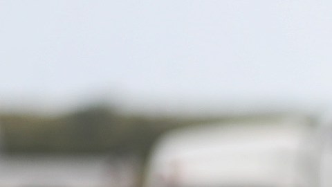Se estima que más del 40% de los trabajadores agrícolas de Florida son indocumentados.
