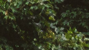 La policía de Richmond investiga un tiroteo ocurrido después de la graduación de una escuela.