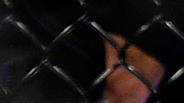 Tony Ferguson