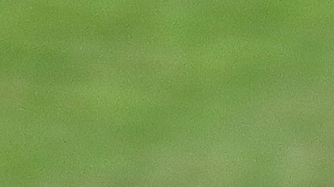 Bob Bradley, exentrenador de Toronto FC.