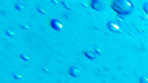 Turista ruso muere por ataque de tiburón tigre en la costa del Mar Rojo de Egipto