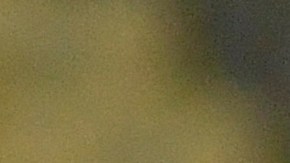 Lionel Scaloni abrazando a Lionel Messi en la Copa América 2021.