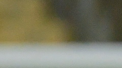 Lionel Scaloni abrazando a Lionel Messi en la Copa América 2021.