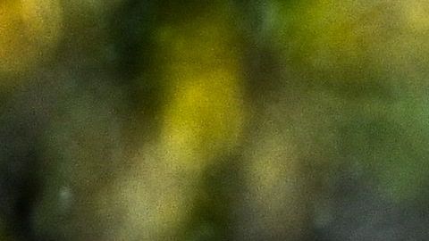 Tribunal Supremo rechaza que una escuela pueda obligar a las niñas a llevar falda