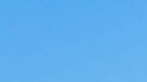 Despiden a 2 oficiales en Connecticut luego de que hombre queda paralítico por accidente en camioneta de la policía