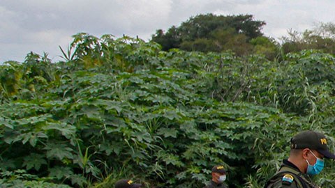 Frontera entre Colombia y Venezuela