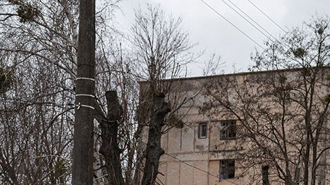 EE.UU. anuncia un nuevo paquete militar para Ucrania de 500 millones de dólares