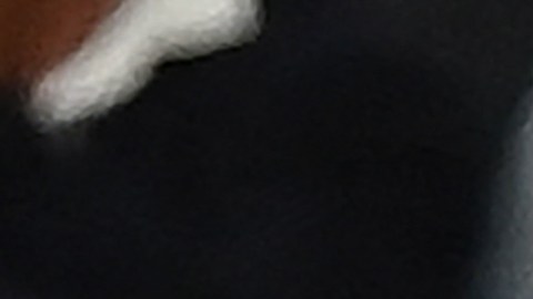 Lucas Moura, uno de los vinculados, ha perdido brillo en Europa.