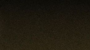 Floyd Mayweather Jr.