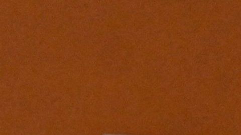 US dollar notes are photographed in Buenos Aires, on June 23, 2022. - Argentines do their accounts in dollars, traumatised by recurrent economic crises and tormented by the inflation that is eating away at their pockets and is projected to exceed 60% this year. (Photo by Luis ROBAYO / AFP) (Photo by LUIS ROBAYO/AFP via Getty Images)