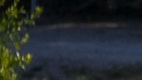 Un mexicano murió tras pasar tres días perdido en la frontera de Texas