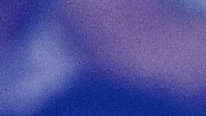 Floyd Mayweather Jr.