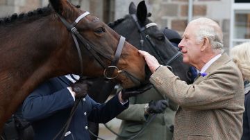 BALLATER, SCOTLAND - OCTOBER 11: King Charles III feeds carrots to horses as he attends a reception to thank the community of Aberdeenshire for their organisation and support following the death of Queen Elizabeth II at Station Square, the Victoria & Albert Halls, on 11th October, 2022 in Ballater, Scotland. (Photo Andrew Milligan - WPA Pool/Getty Images)