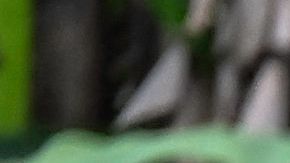 Migrantes que lleguen a Panamá por el Darién deberán realizarse una prueba de VIH