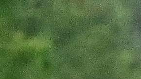 Inmigrantes inician su viaje en El Florido, en San Pedro Sula, Honduras, hacia Estados Unidos.