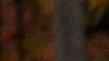 Conductor a exceso de velocidad en Minneapolis mató a cinco jóvenes en un accidente de tránsito