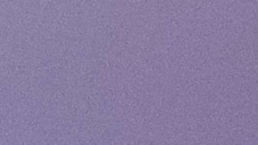 Chris Christie parece haber alcanzado a Ron DeSantis en New Hampshire